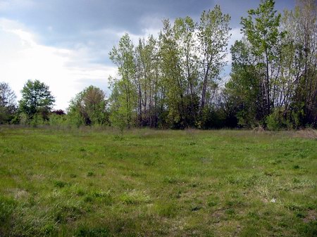 West Side Drive-In Theatre - Now - Photo From Water Winter Wonderland (newer photo)